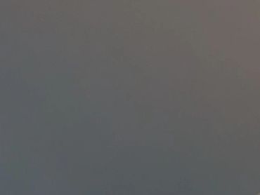 Custom real wood shelves. Planed and installed into 2 x 4s to never fail.