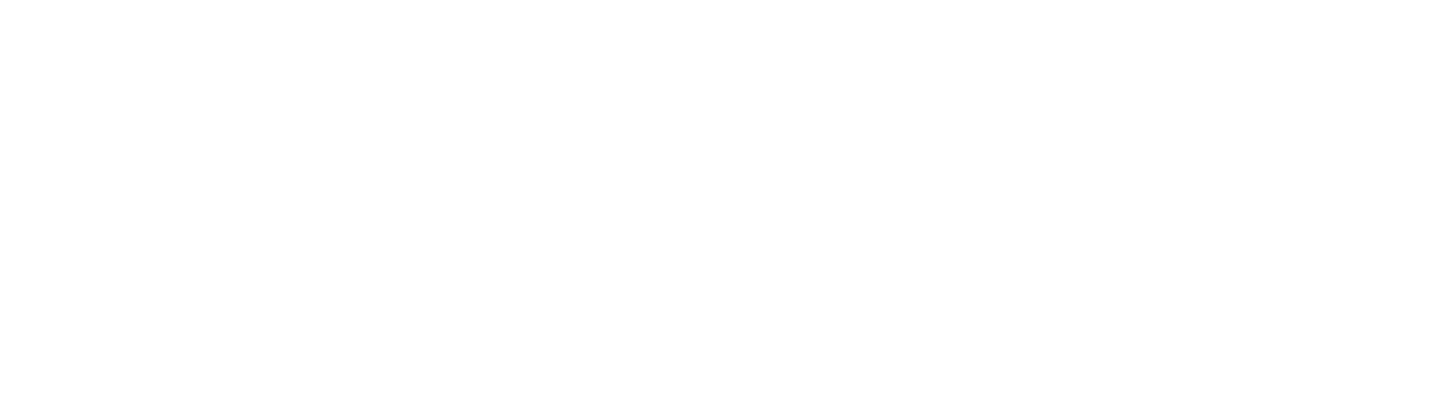 VivKay Edible Art