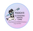Pooch’s Dental Care