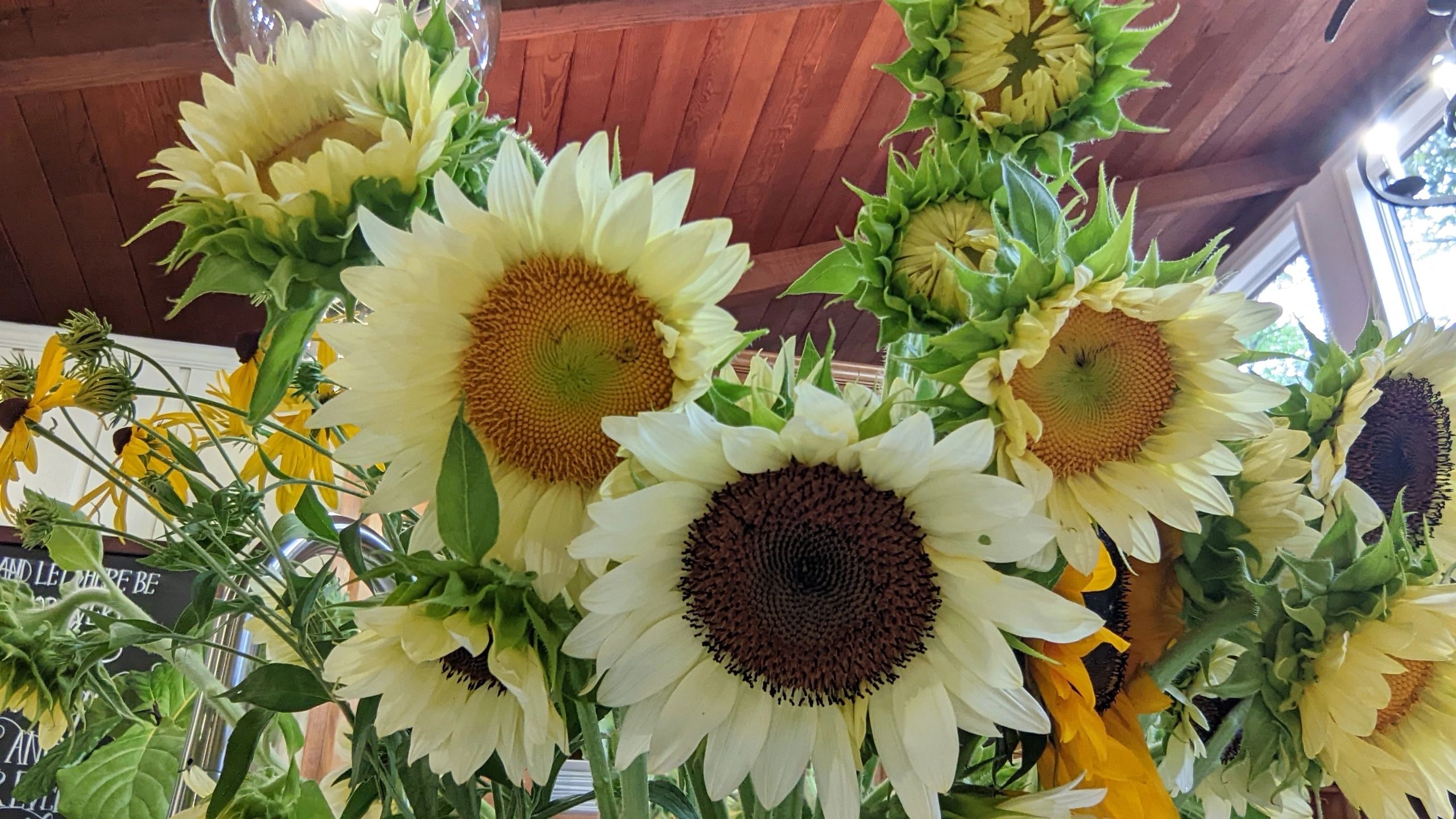 Mossy Hill Farm Flowers WinstonSalem, North Carolina