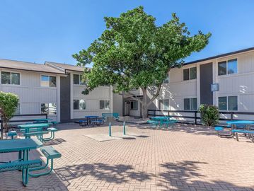 North Austin Apartments, North Central Austin Apartments, domain area Apartments,  Austin Apartments