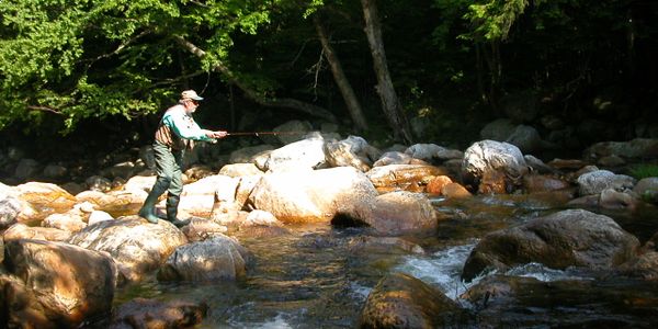 Stone Creek LTD TS2 Trout Stalker Reels