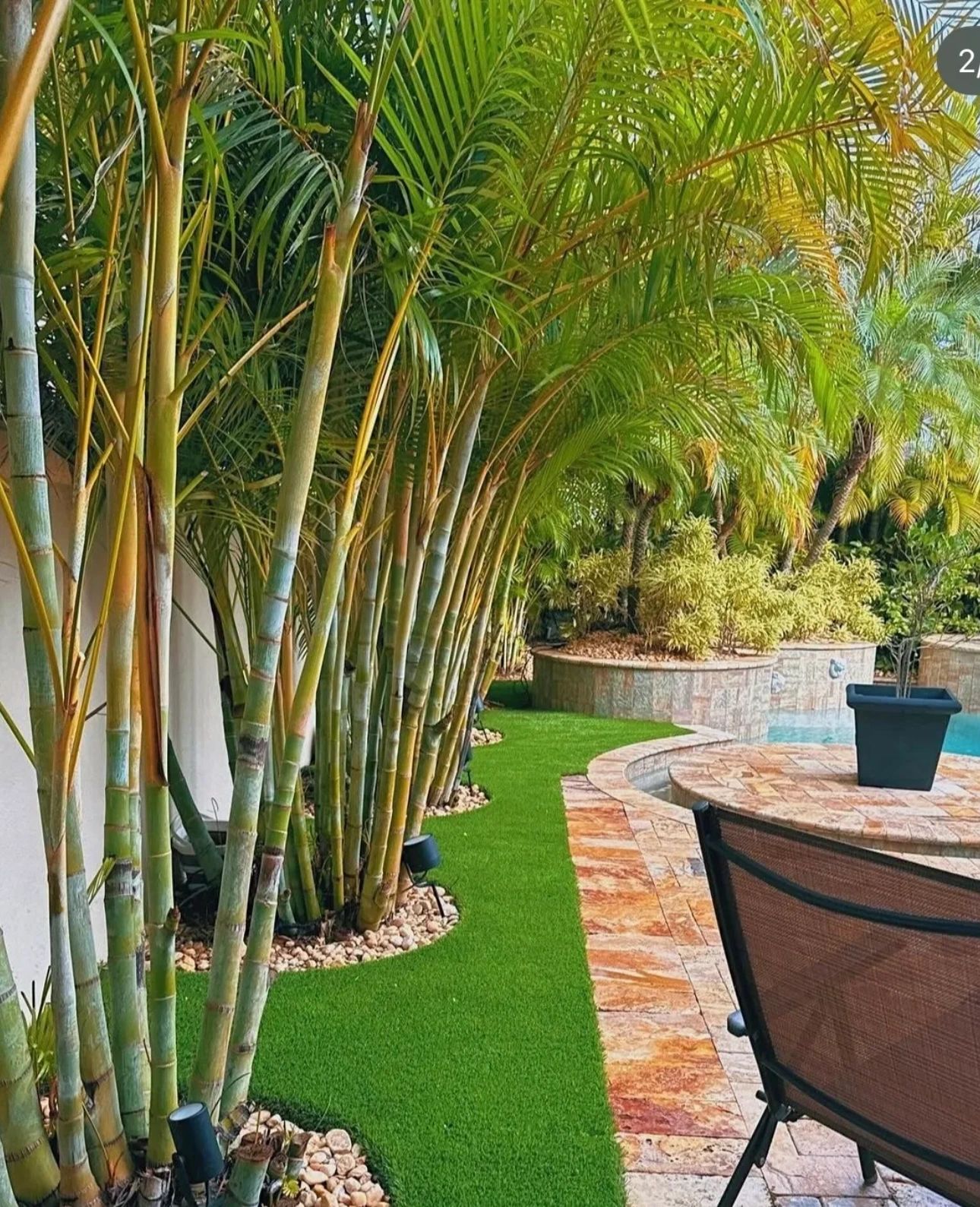 Expert Lawn Care Services in Tampa Bay | ACE Lawn & Home