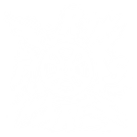 Rebel Reels Film Society