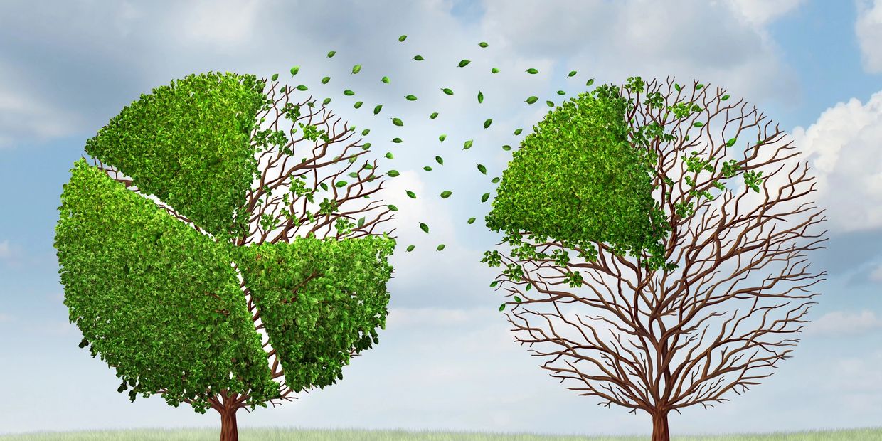Two trees exchanging green leaves, one with leaves shaped like a pie chart.