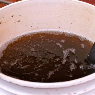 A white bucket filled with murky, dark water and bubbles on the surface.