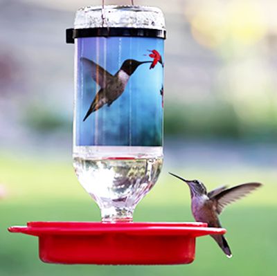 The Hummingbird Store hummingbird feeder with hummingbird perched and ready to drink