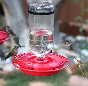 The HummerMagnet Hummingbird Feeder 