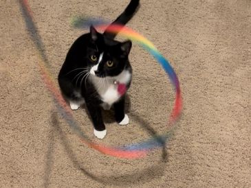 Playtime during a house visit.