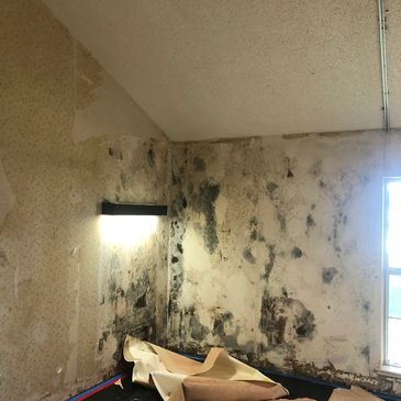 Room with severe mold damage and peeling wallpaper on walls and floor.