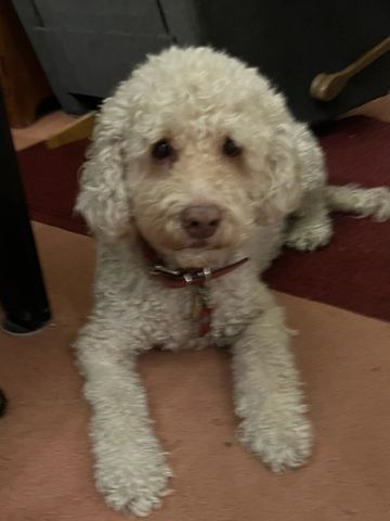 Sami. Always a friend.