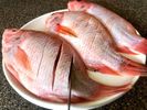 PESCADO MOJARRA