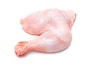 POLLO