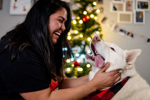 Portrait pet photography at Christmas time 