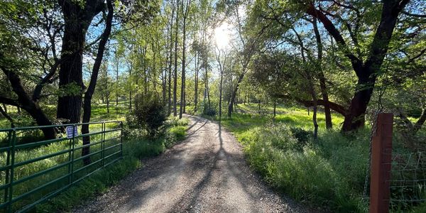 Peaceful tree studded 10 acre getaway.