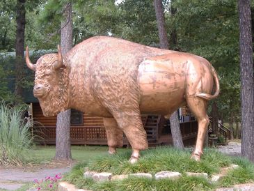bronze life sized buffalo in front of beavers bend museum on 259 at the south park entrance.