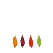 20/20 Chocolates