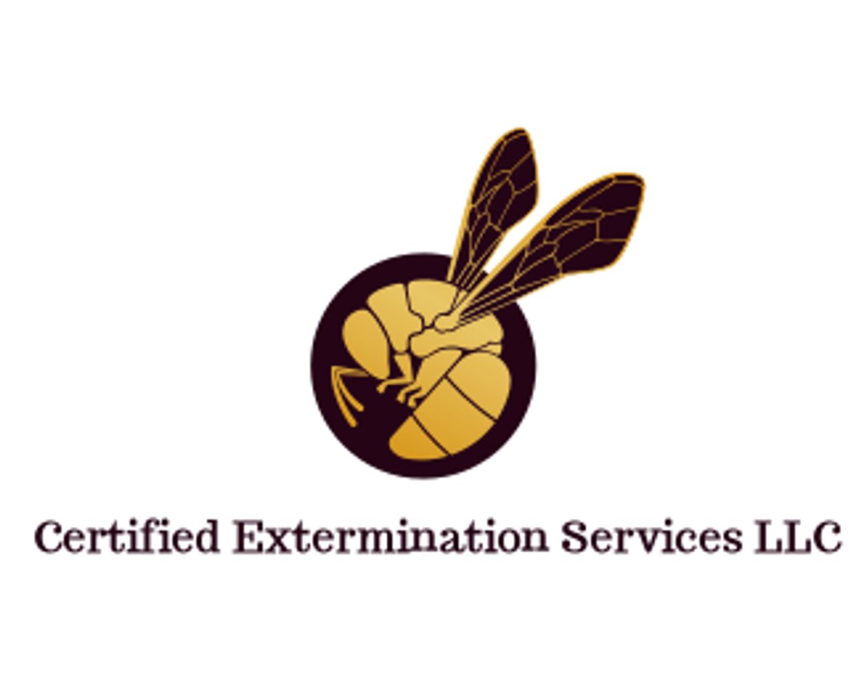 Licensed Bed Bug Extermination Services in Columbus Ohio