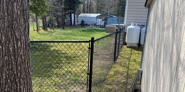 A black chain-link fence enclosing a backyard with trees and a shed.