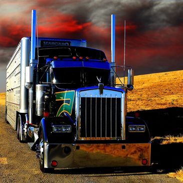 Beautiful commercial tractor trailer sitting on side of road 