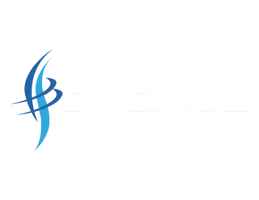 BEST ESSENTIAL SERVICES INC