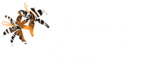 Tigerlily Arts & Antiques