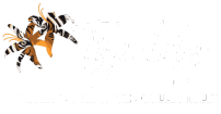 Tigerlily Arts & Antiques