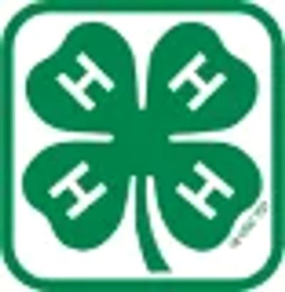 4-H green four-leaf clover logo.