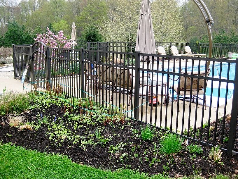 Pool Fencing Types and Features for Safety and Security