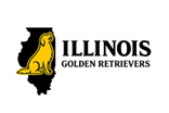 Illinois Golden Retrievers