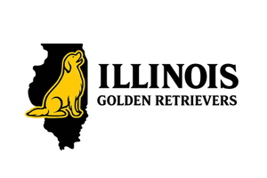 Illinois Golden Retrievers
