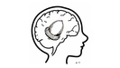 The Acorn Brain™ Coach