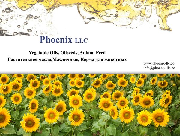 vegetable oil, oil seeds, animal feed, sunflower oil 