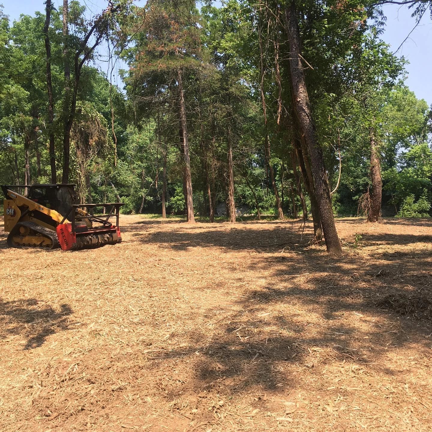Myers land management solutions Forestry Mulching, Land Management