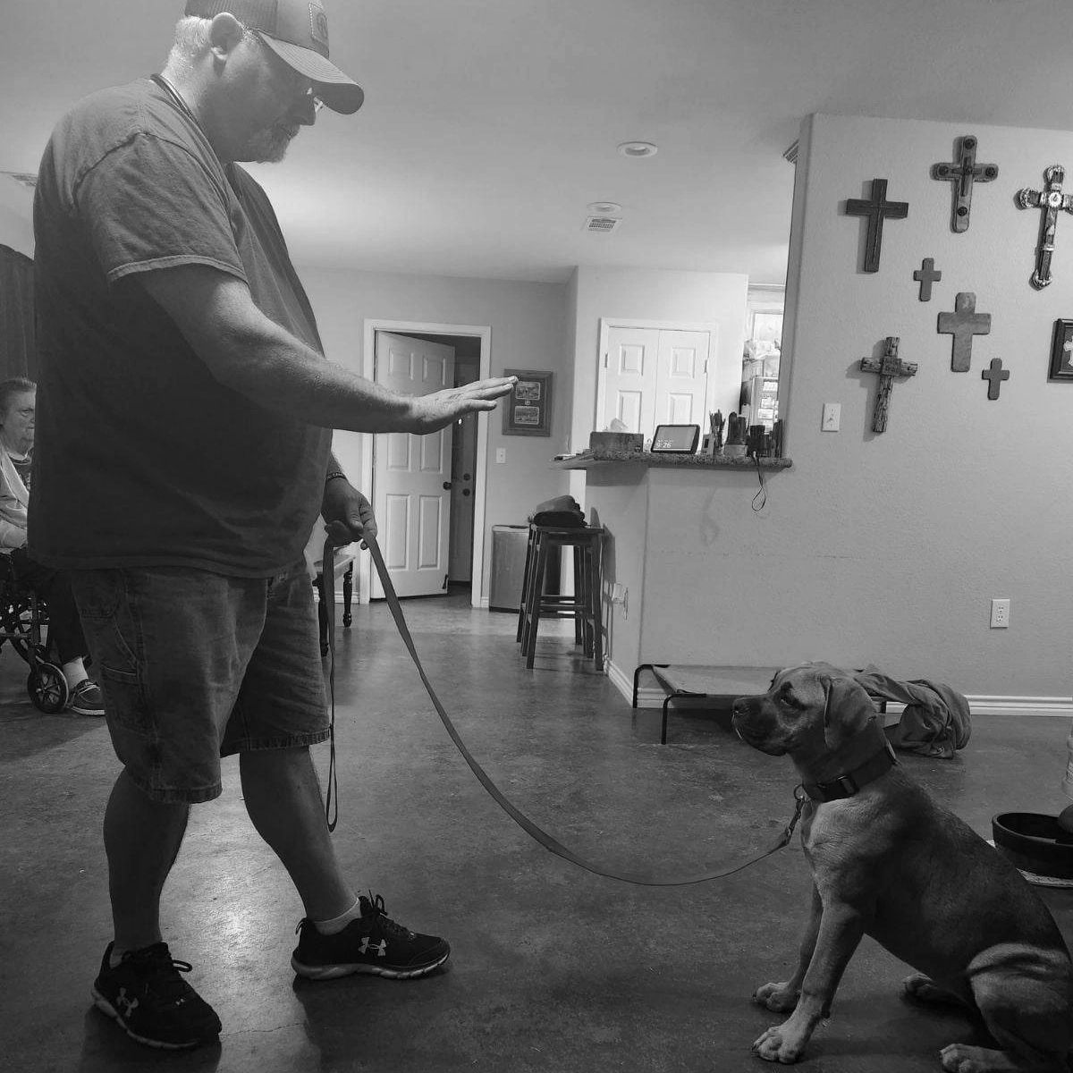 Trainer teaches puppy obedience by executing the sit and stay commands