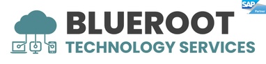 BLUEROOT TECHNOLOGY SERVICES