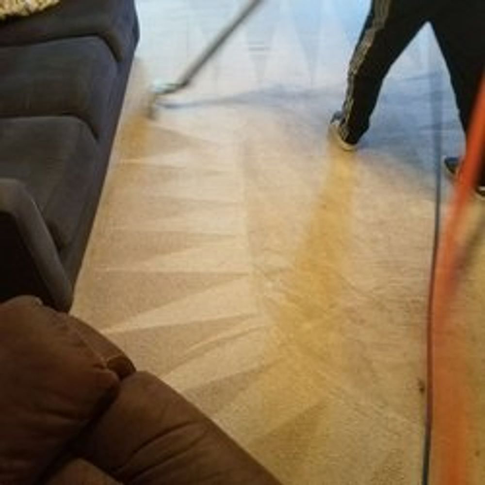 Carpet Cleaning Carpet Tech Solutions