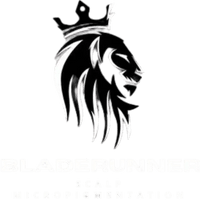 bladerunnersmp.com