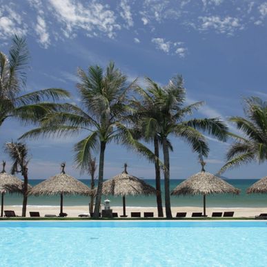 Palm trees and thatched umbrellas by a beach pool under a clear sky.