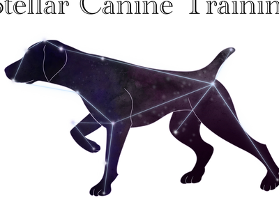 Constellation shaped like a walking dog with glowing stars.