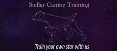 Stellar Canine Training