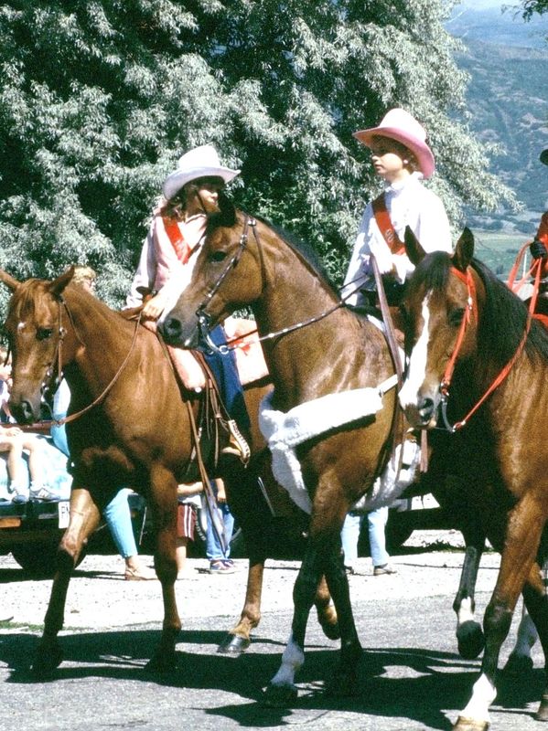 Children in cowboy hats riding horses in a parade.