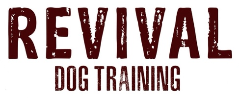 Revival Dog Training