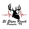 El Elyon Whitetails and Exotics