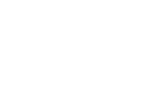 LMX Services