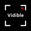 Vidible