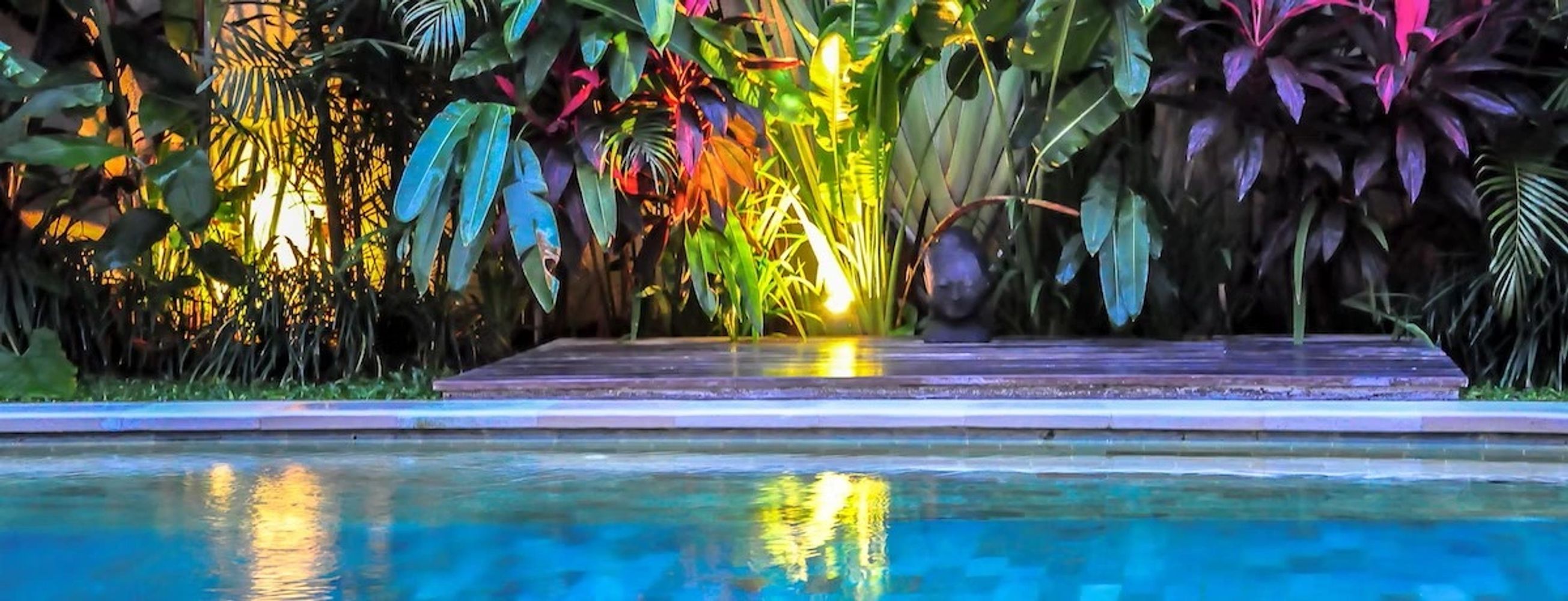 A serene poolside with vibrant tropical plants illuminated at night.