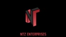 NTZ Enterprises