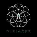 Pleiades Inc.