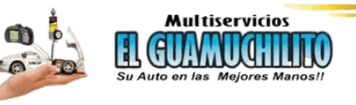 Multiservicios el guamuchilito